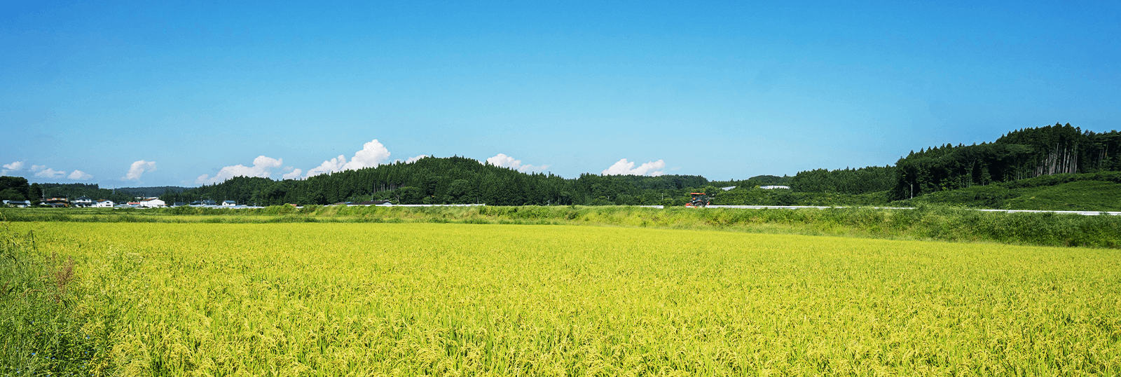 株式会社PEBORAの地元青森県の田園風景